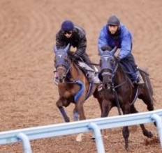 【報知杯ＦＲ】ギリーズボール巻き返しへ鋭く伸びて先着　手塚久調教師「前回よりもずいぶん良くなっている」
