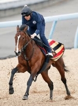 【チャーチルダウンズＣ】マイル合うサンダーストラック重賞連勝へ　太田助手「中身をしっかり上げていきたい」