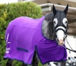 【天皇賞・春】馬トク外厩情報…天皇賞・春は“育成がすべて”　勝ち馬の共通点から有力候補が浮上