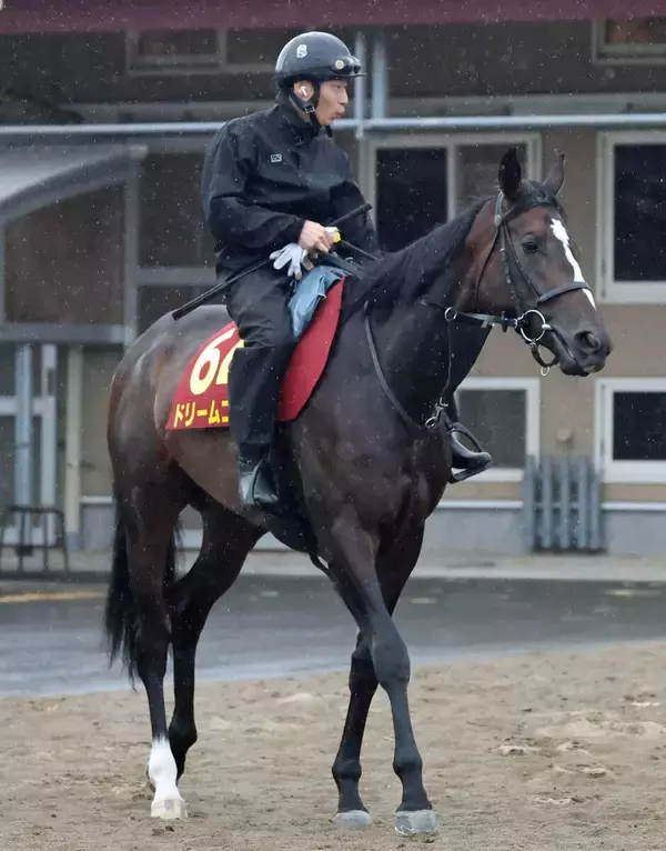 【オークス・金曜気配】亡くなった萩原師に勝利届けたいドリームコア　弾むフットワークで前走以上の好ムード