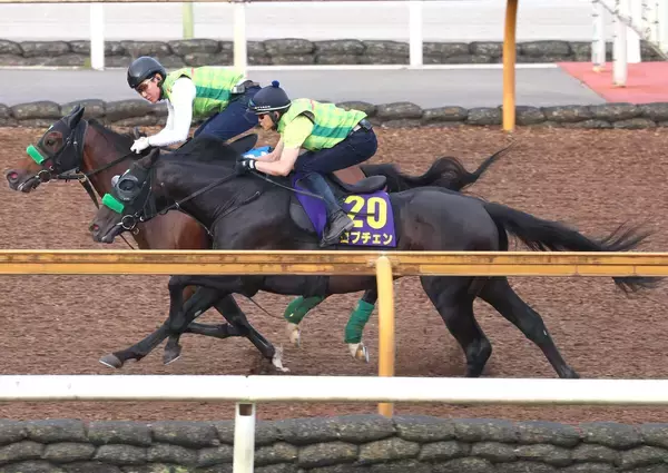 【日本ダービー】皐月賞馬ロブチェンは２冠へＣＷコースで鋭伸　杉山晴調教師「いい意味で変わりなくですね」