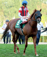 【注目馬動向】キーンランドＣ３着の９歳馬ウインカーネリアンはスプリンターズＳで連覇狙う　鹿戸調教師「問題なければ」