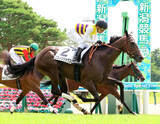 「【新潟３Ｒ・２歳未勝利】単勝６１・７倍のニシノリリックス差し切る　初戦８着から石橋脩騎手「かなりの変わり身」」の画像1