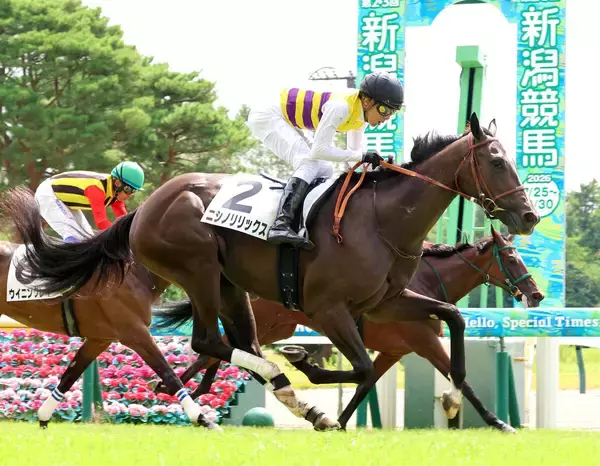 【新潟３Ｒ・２歳未勝利】単勝６１・７倍のニシノリリックス差し切る　初戦８着から石橋脩騎手「かなりの変わり身」