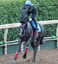 日曜中山競馬場の注目激走馬…中山１１Ｒオールカマー・Ｇ２