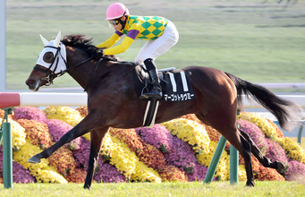 【阪神ＪＦ】「スーパースターが空いていたのもラッキー」２連勝マーゴットラヴミーは武豊騎手で参戦　小林調教師にんまり