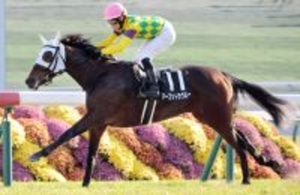 【阪神ＪＦ】「スーパースターが空いていたのもラッキー」２連勝マーゴットラヴミーは武豊騎手で参戦　小林調教師にんまり