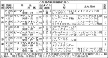 【ＰＯＧ】レコード勝ちした全兄セイウンハーデスを超える逸材かも！１２日の新馬戦を勝ったニシノサリーナに注目