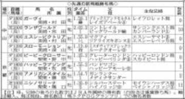 【ＰＯＧ】レコード勝ちした全兄セイウンハーデスを超える逸材かも！１２日の新馬戦を勝ったニシノサリーナに注目