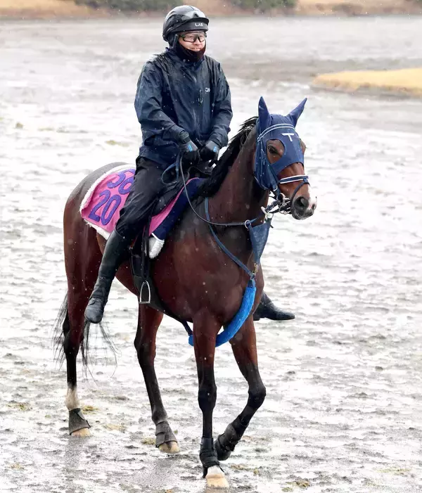 【クイーンＣ】「ピリピリ度が増している」重賞初挑戦Ｖ目指すモートンアイランド　気持ちの面がポイント