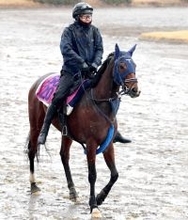 【クイーンＣ】「ピリピリ度が増している」重賞初挑戦Ｖ目指すモートンアイランド　気持ちの面がポイント