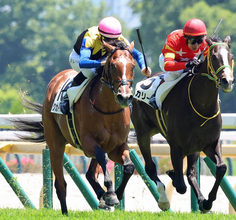 【東京４Ｒ・３歳未勝利】日本ダービー馬の半弟クカイリモクが貫禄の初勝利　レーン騎手「もっと能力を」