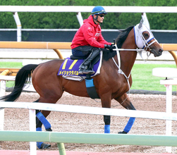 【Ｇ１・１週前まとめ】メイショウタバルが武豊と連覇狙う　軽快な動きに石橋調教師「これで変わると思う」　宝塚記念