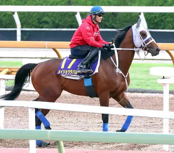 【Ｇ１・１週前まとめ】メイショウタバルが武豊と連覇狙う　軽快な動きに石橋調教師「これで変わると思う」　宝塚記念
