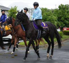 【宝塚記念】クロワデュノールは春の古馬３冠へ復調気配見えた！　斉藤崇調教師「これで走れるところぐらいまで来たのかな」