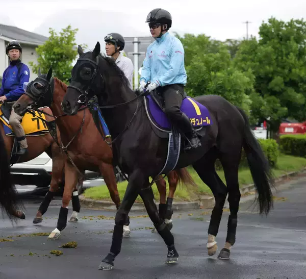 【宝塚記念】クロワデュノール最終追いで春古馬３冠へ復調気配見えた！　斉藤崇調教師「これで走れるところまで…」