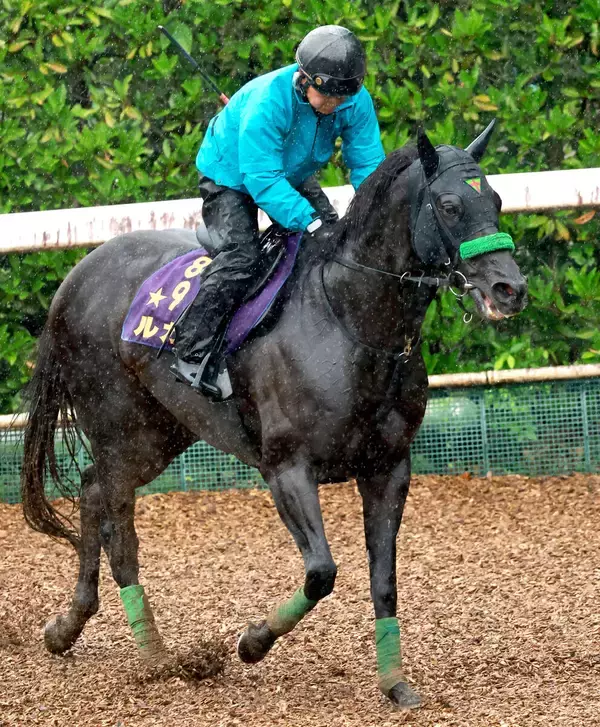 【ＱＥ２世ジュビリーＳ】ルガルが最終追い切り完了　鮫島克駿騎手「馬もイライラしておらずハッピーです」