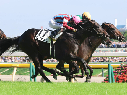 【注目馬動向】史上９頭目の３冠へ　ロブチェンは菊花賞見据えて神戸新聞杯から始動予定