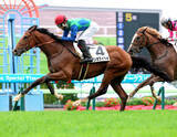 「【函館５Ｒ・２歳新馬】急きょ代役の丹内祐次騎手がテンカタイヘイで勝利「調教のＶＴＲを見て走りそうだった」」の画像1