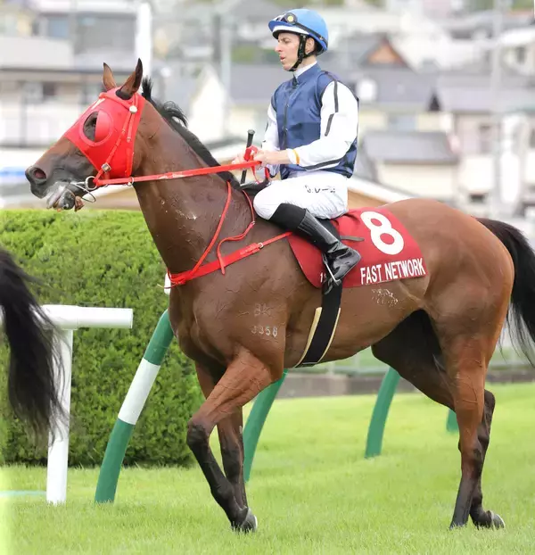 香港馬ファストネットワークまさかの大敗は喉鳴りの再発が影響か？　スプリンターズＳ出走も極めて微妙に　香港ジョッキークラブ