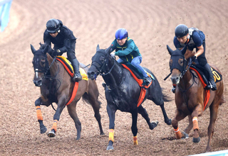 【オールカマー・１週前】中山コース４連勝中のエセルフリーダは３頭併せで最先着　武藤調教師「１週前としてはいい」