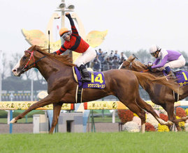 「本当に愛すべき存在」菊花賞馬オウケンブルースリが余生を過ごしたうらかわ優駿ビレッジＡＥＲＵスタッフの追悼全文