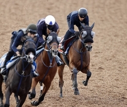 【秋華賞・１週前】マスターソアラは約半馬身遅れも軽快な動きを披露　蛯名正調教師「動きの質や中身は上がっている」