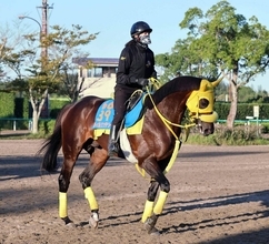 【南部杯】川田将雅騎手は連日の重賞勝利ならず　単勝１・７倍のウィルソンテソーロは３着で連覇を達成できず