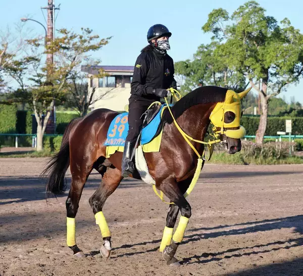 【南部杯】川田将雅騎手は連日の重賞勝利ならず　単勝１・７倍のウィルソンテソーロは３着で連覇を達成できず