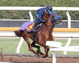 「【阪神ＪＦ】アルバンヌは坂路を軽快に駆け上がり最終調整　陣営「力を出せる状態です」」の画像1