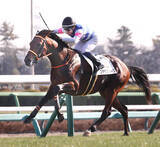 「【中山７Ｒ・３歳１勝クラス】ステラスペースが逃げ切ってオープン入り　武藤雅騎手「力をつけている」」の画像1