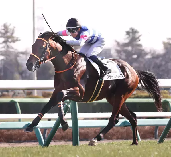【中山７Ｒ・３歳１勝クラス】ステラスペースが逃げ切ってオープン入り　武藤雅騎手「力をつけている」