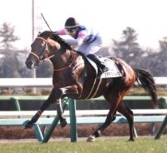 【中山７Ｒ・３歳１勝クラス】ステラスペースが逃げ切ってオープン入り　武藤雅騎手「力をつけている」