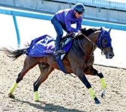 【中山記念】得意舞台で輝きを取り戻したいレーベンスティール　田中博調教師「中山の１８００メートルは良い条件」