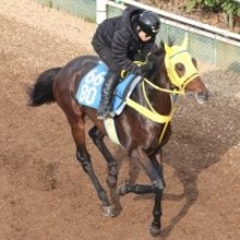 土曜東京競馬場の注目激走馬…東京１１Ｒダイヤモンドステークス・Ｇ３