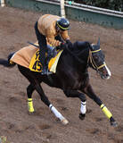 「日曜小倉競馬場の注目激走馬…小倉１１Ｒ小倉大賞典・Ｇ３」の画像1