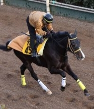 日曜小倉競馬場の注目激走馬…小倉１１Ｒ小倉大賞典・Ｇ３