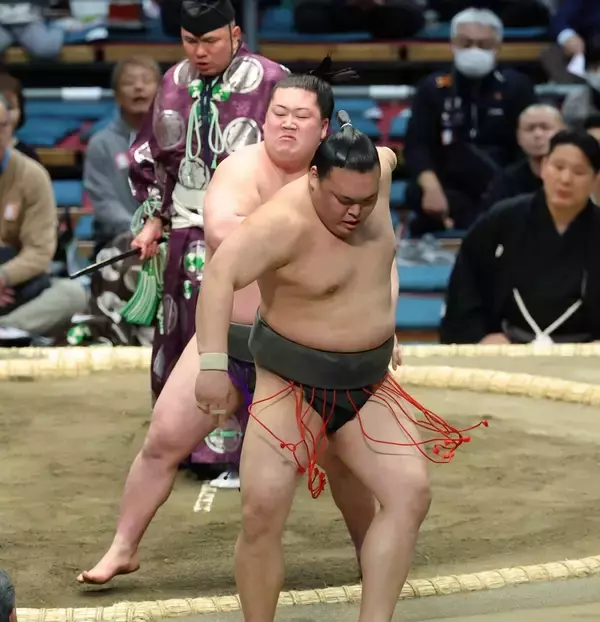 嵐富士、初のストレート勝ち越しも気を引き締める　嵐を起こすのは「これからです」