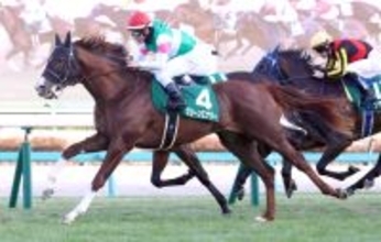 【皐月賞・超ブル診断ステップレース編】京成杯制したグリーンエナジーにＧ評価　世代上位を狙える脚力