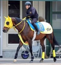 【注目馬動向】マーチＳ４着のヴァルツァーシャルは平安Ｓを視野に