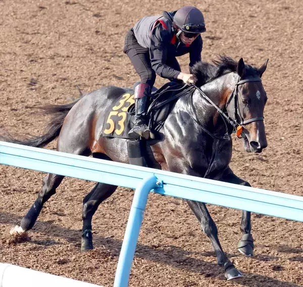 【日本ダービー・２週前】皐月賞５着から逆襲へフォルテアンジェロが切れのある動き　上原佑調教師「あの内容ならダービーでも」