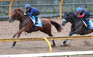 【小倉記念・１週前】川田将雅騎手が乗り豪快に伸びた！　前走レコード駆けのガイアメンテに陣営「さすが動くなと」