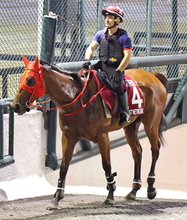 香港馬ファストネットワークがスプリンターズＳに予備登録　セントウルＳ出走へ向け２５日に来日予定
