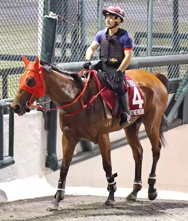 香港馬ファストネットワークがスプリンターズＳに予備登録　セントウルＳ出走へ向け２５日に来日予定