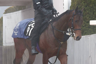 【注目馬動向】友道厩舎の素質馬が帰ってきた！ラヴェニューが１０月の京都で再出発　ロブチェン出走の共同通信杯で１番人気