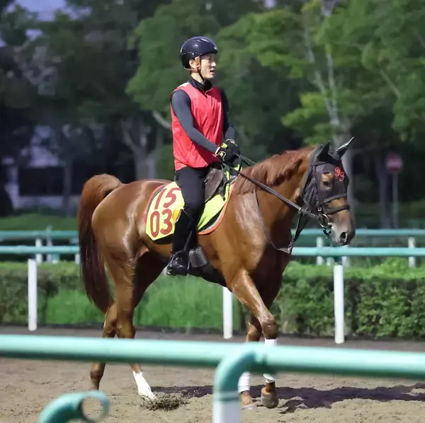 【ＰＯＧ】全兄にＢＣクラシック２着のデルマソトガケ　エンジャムメントに陣営「福島デビューの頃より格段に良くなっている」