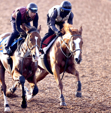 【秋華賞・追い切り】トライアル好走の勢いは本物　サムシングスイートが併せ馬で先着　伊藤大調教師「今までで一番よかった」