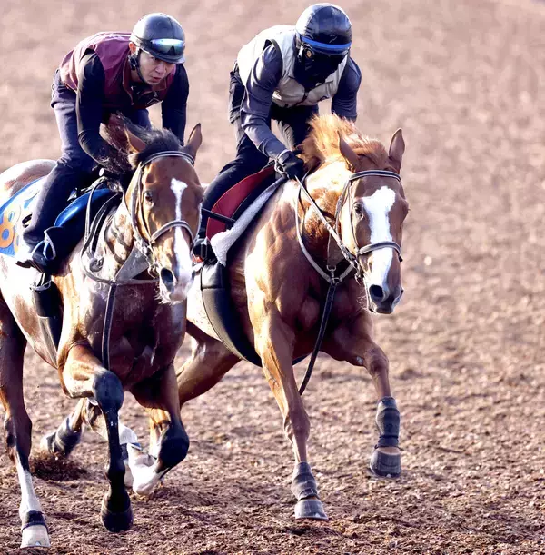【秋華賞・追い切り】トライアル好走の勢いは本物　サムシングスイートが併せ馬で先着　伊藤大調教師「今までで一番よかった」
