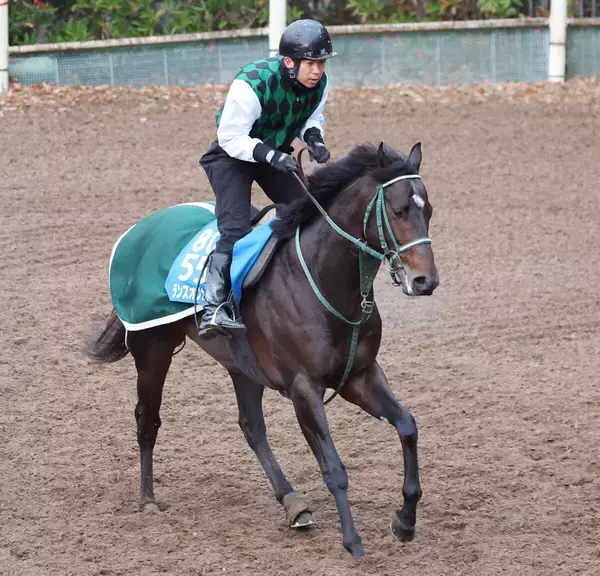 【京都金杯】重賞２勝目狙うランスオブカオスは最内枠　３戦ぶりの復活Ｖ目指すキープカルムは２枠３番　枠順確定