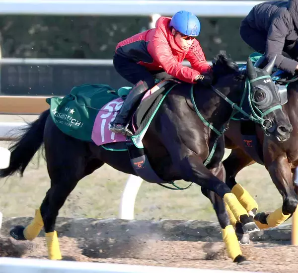 【クイーンＣ】ここで勝つなら相当な大物！？初戦圧勝ニシノサリーナに注目　陣営「先が楽しみになるような競馬ができれば」